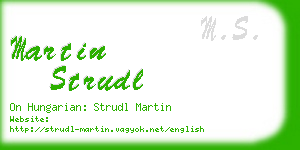 martin strudl business card